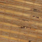 Java Cedar