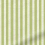Tiger Stripe Yellow Green Roller Blind
