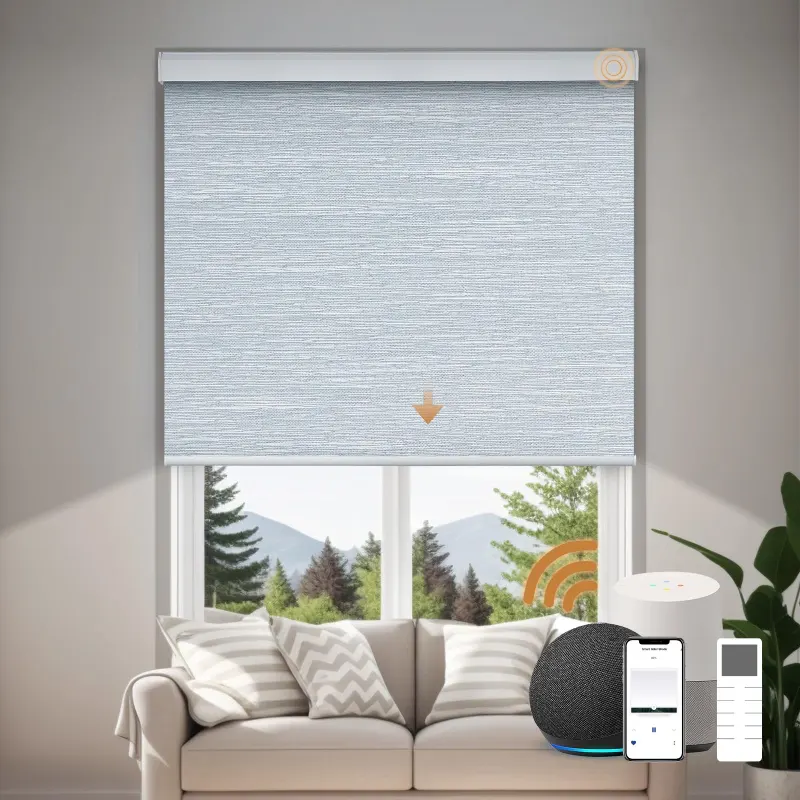 Motorized Blackout Blinds