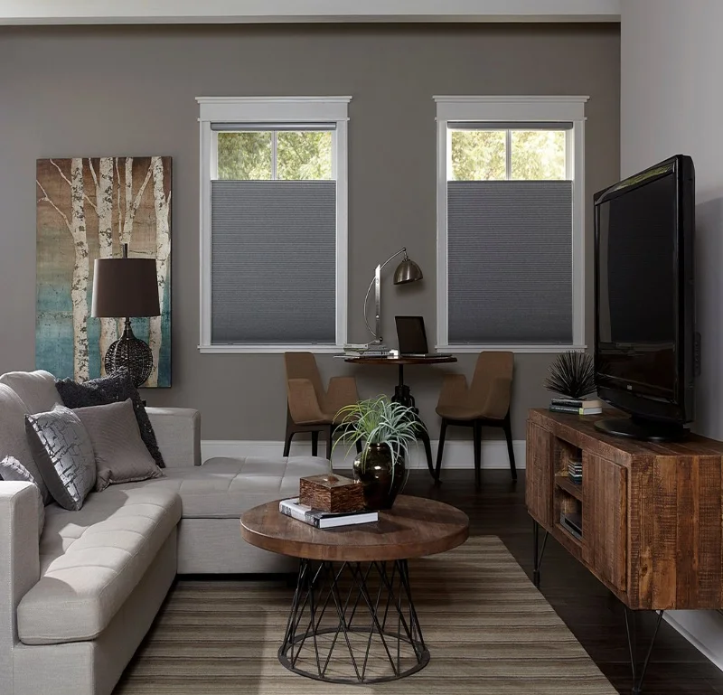 Blackout Blinds for Living room in Arjan